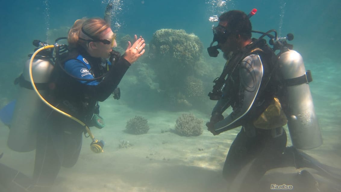 Dykarcertifikat PADI, Pacific Harbour, Fiji