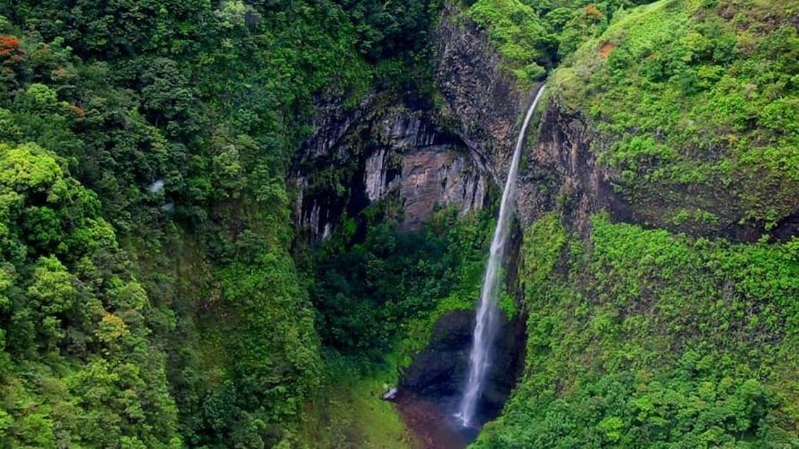Fataua Valley, Tahiti, Franska Polynesien