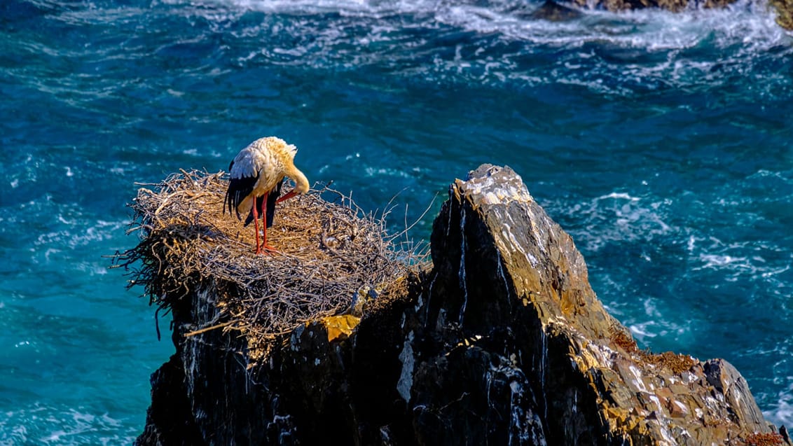 Fisherman´s Trail Portugal