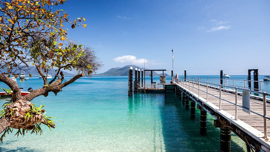 Fitzroy Island, Australien