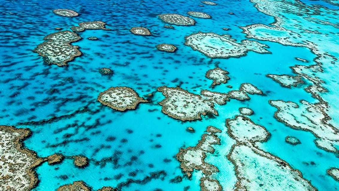 Great Barrier Reef, Australien