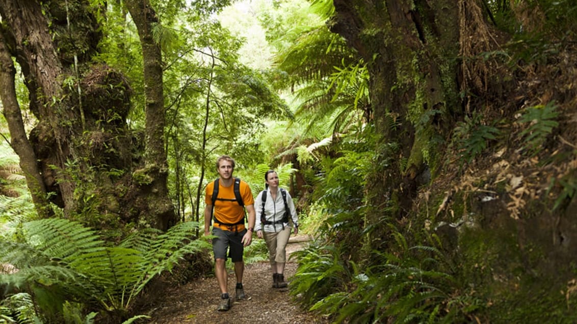 Great Ocean Walk, Australien