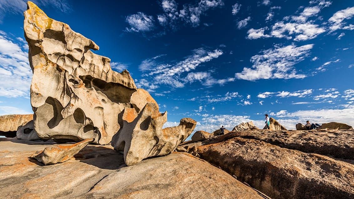 Kangaroo Island, Australien