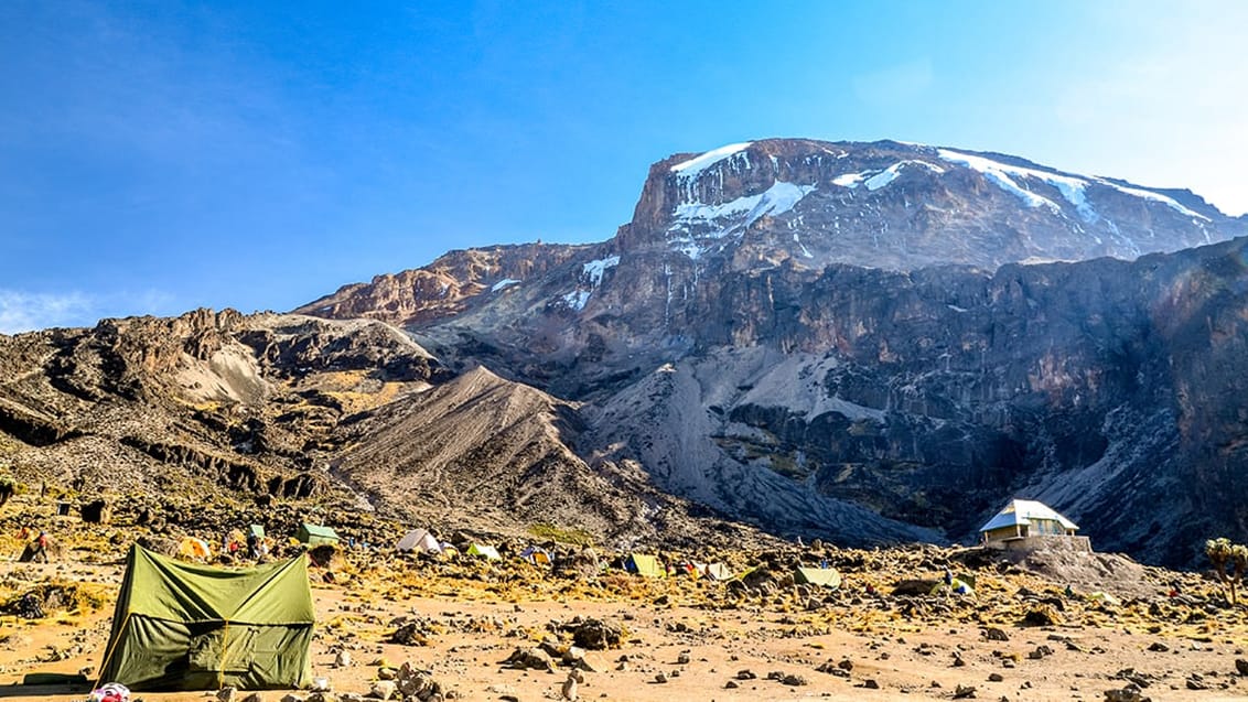Kilimanjaro vandring