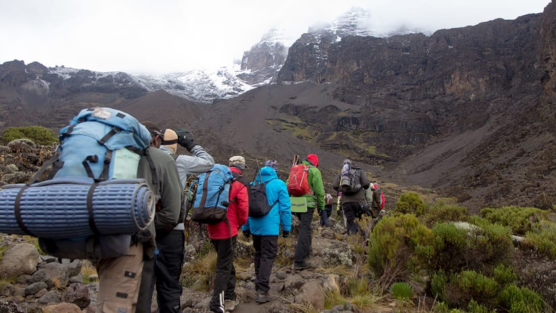 Kilimanjaro vandring