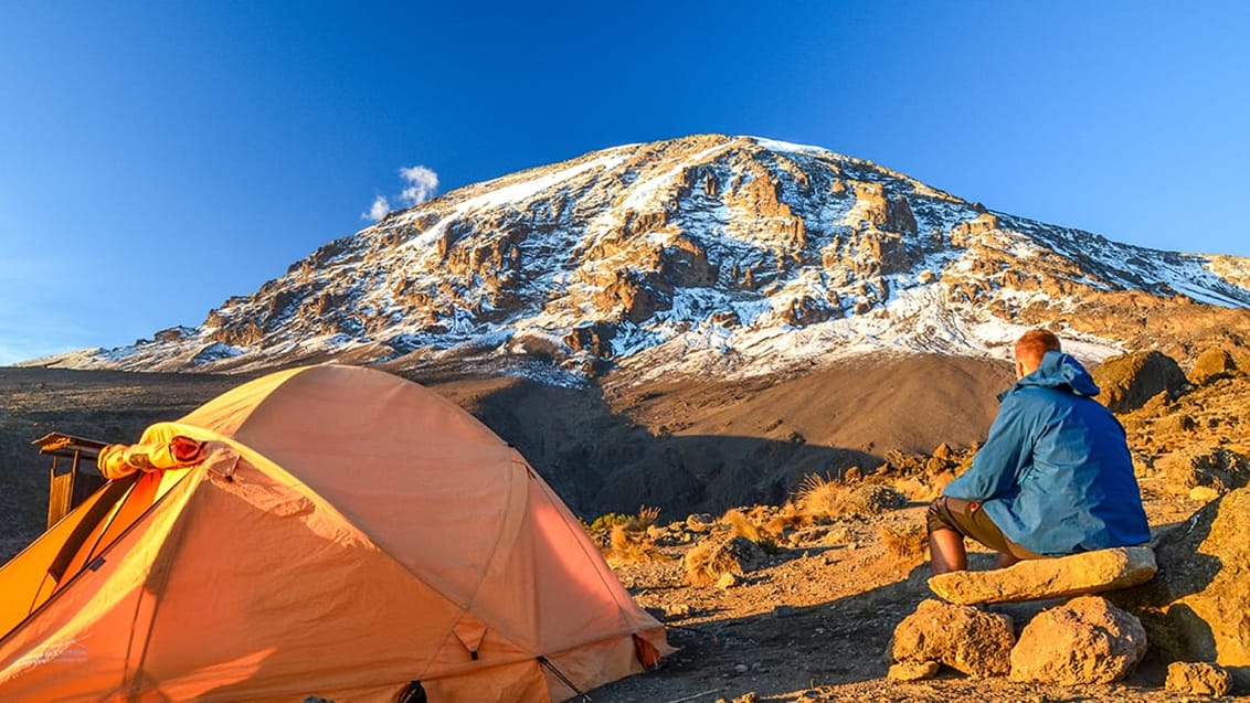 Kilimanjaro vandring