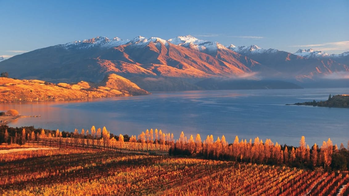 Lake Wanaka, Wanaka, Nya Zeeland