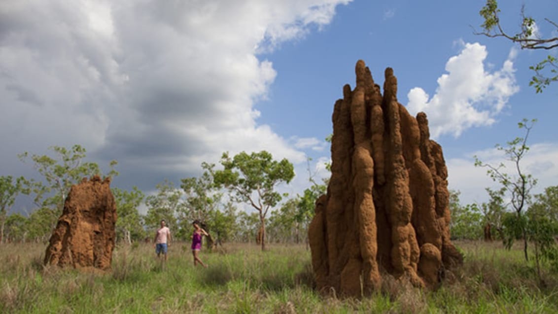 Mary River, Kakadu National Park, Australien