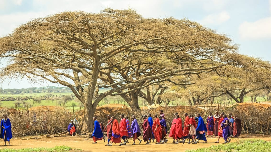 Ngorogoro, Tanzania