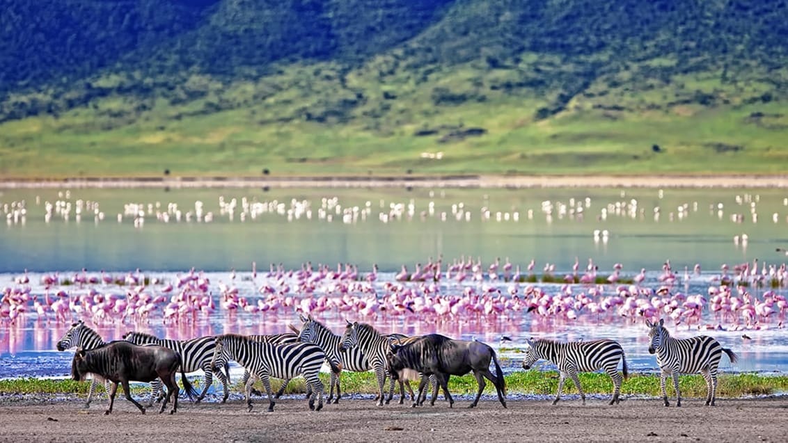 Ngorogoro, Tanzania