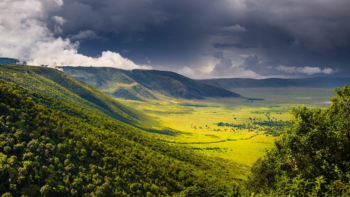 Ngorogoro, Tanzania