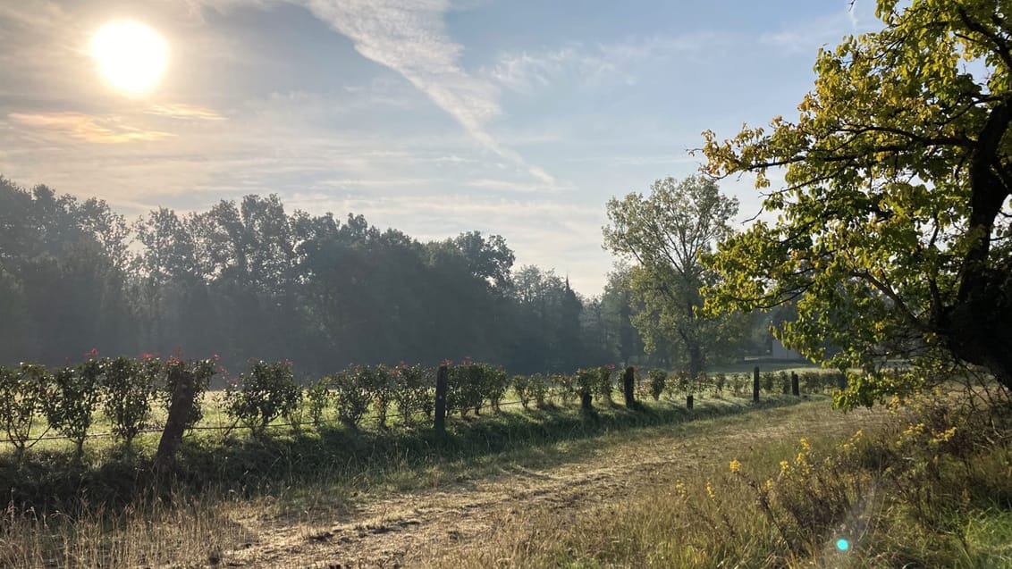 Vandring i Toskana - Via Francigena