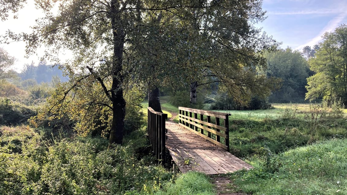 Vandring i Toskana - Via Francigena