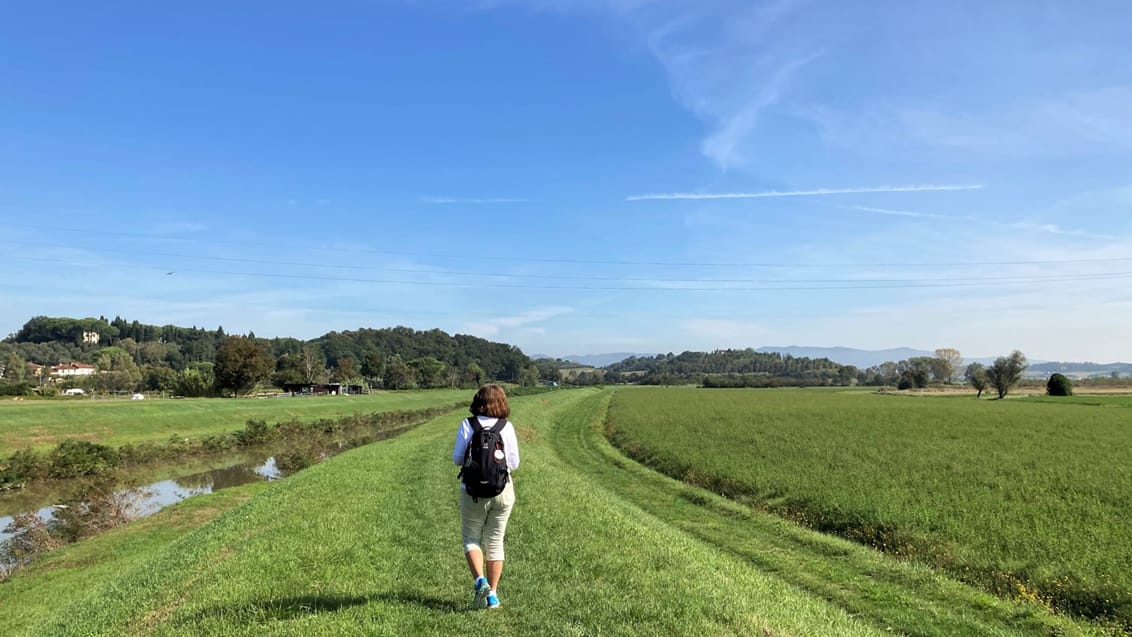 Vandring i Toskana - Via Francigena