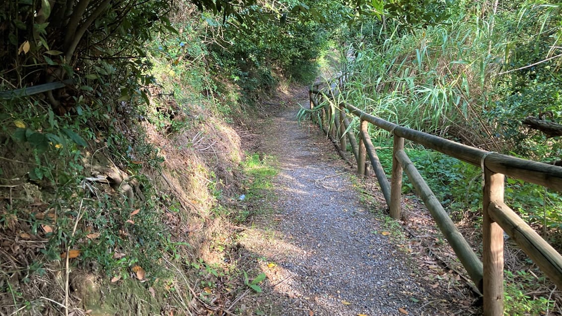 Vandring i Toskana - Via Francigena