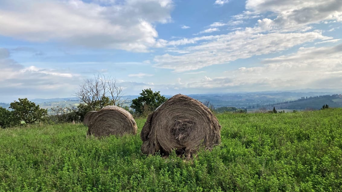 Vandring i Toskana - Via Francigena