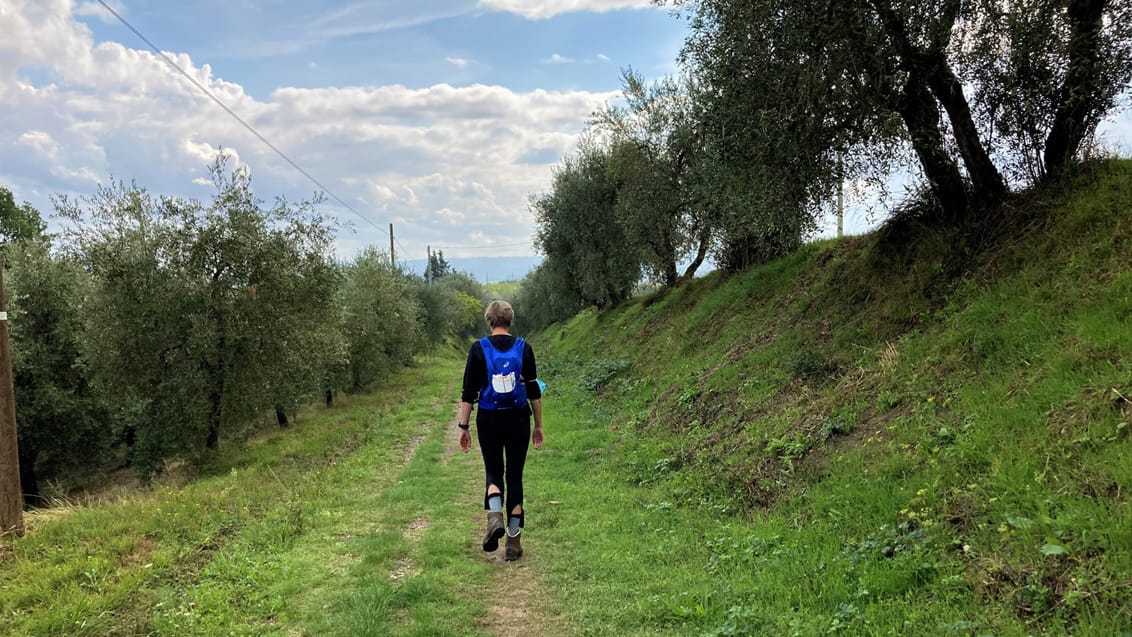 Vandring i Toskana - Via Francigena