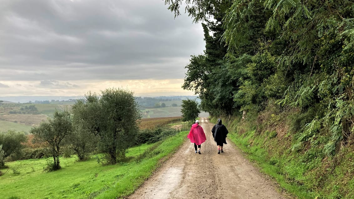 Vandring i Toskana - Via Francigena