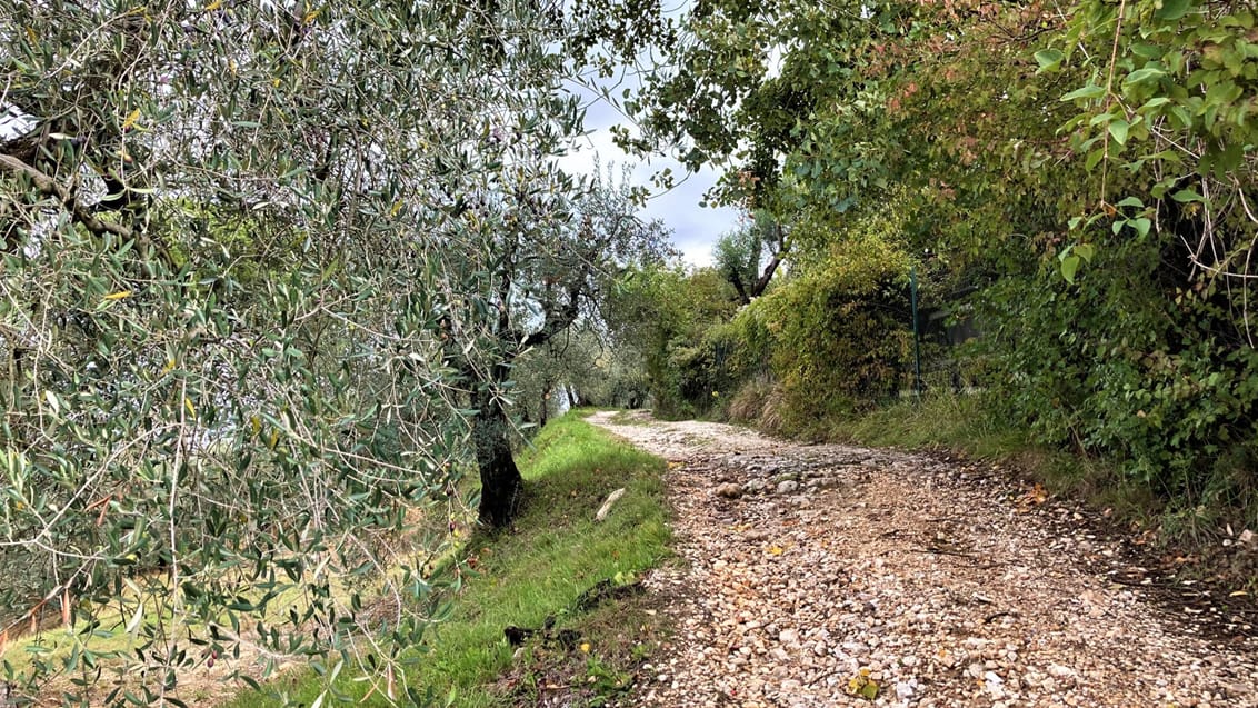 Vandring i Toskana - Via Francigena