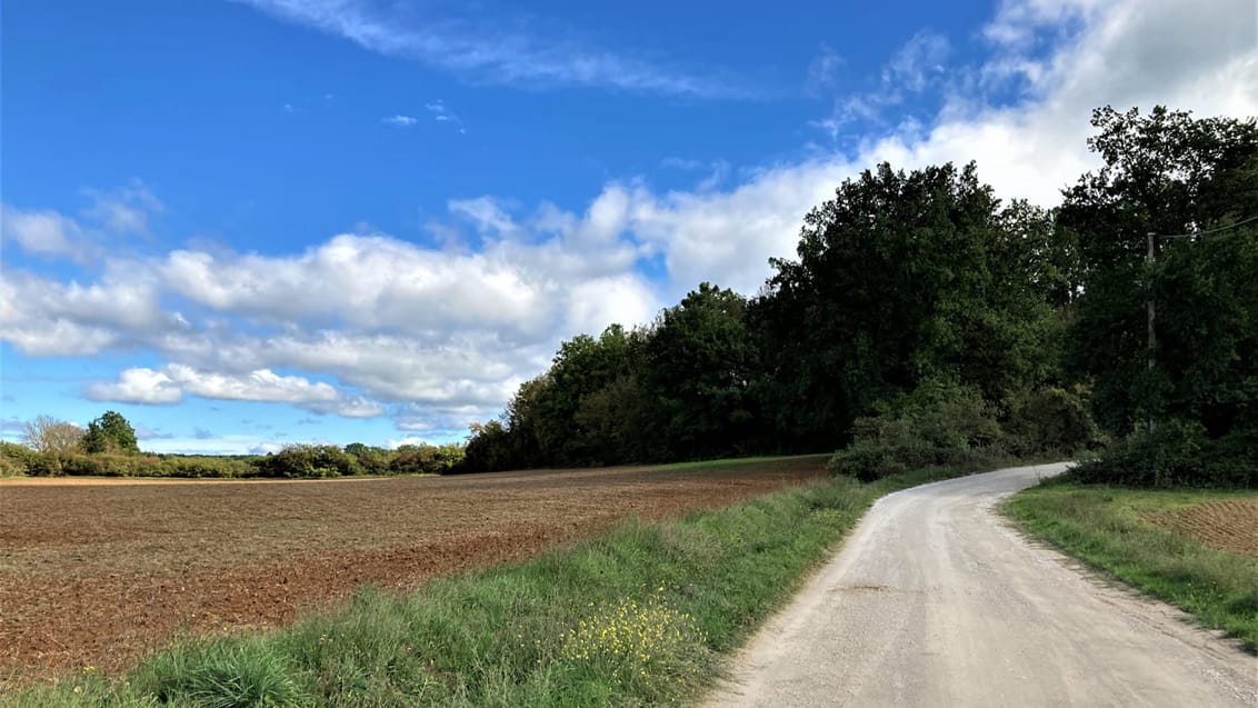 Vandring i Toskana - Via Francigena