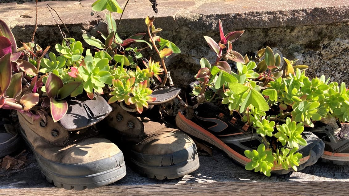 Vandring i Toskana - Via Francigena