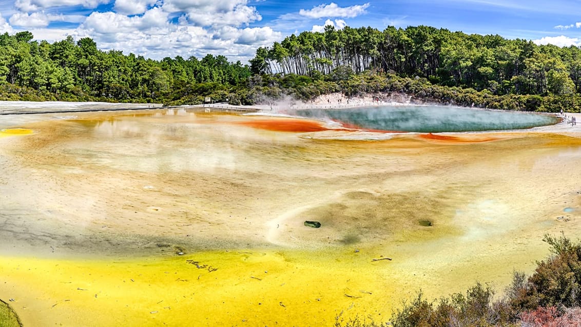 Wai-O-Tapu, Nya Zeeland