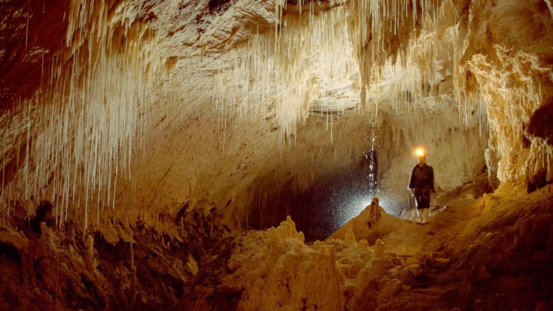 Waitomo, Nya Zeeland