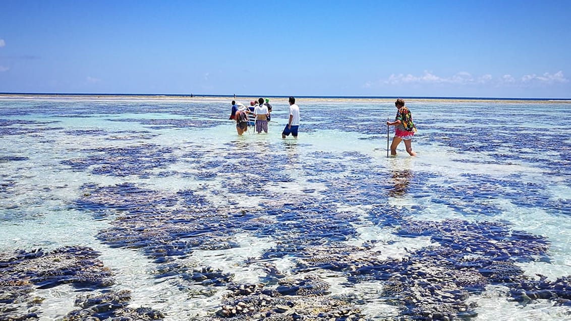 Zanzibar