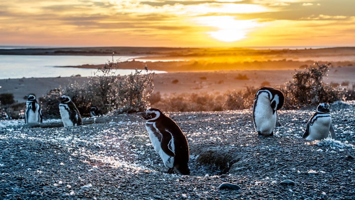 Backpacking i Argentina