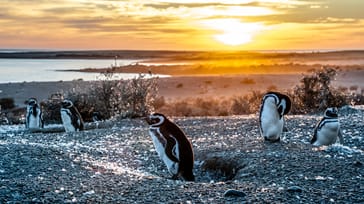 Backpacking i Argentina