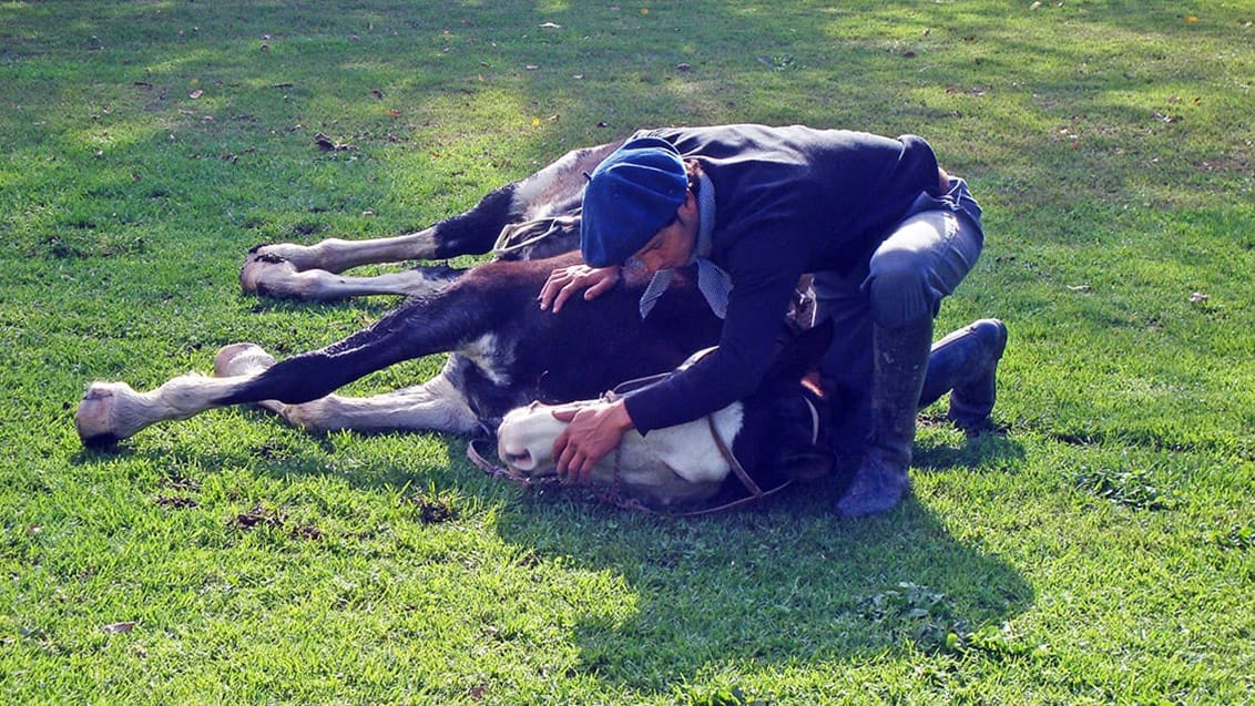 Estancia Ombu i Argentina