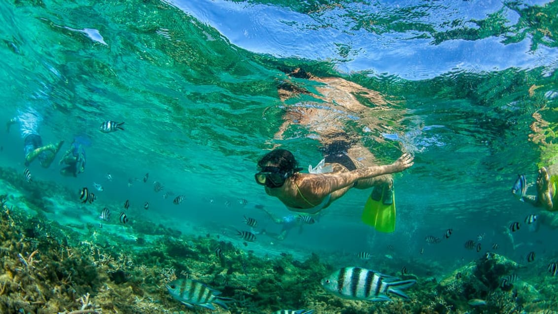 Fiskmarknad Mauritius