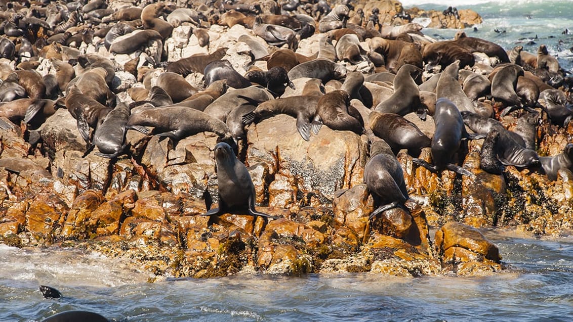 Garden Route, Sydafrika