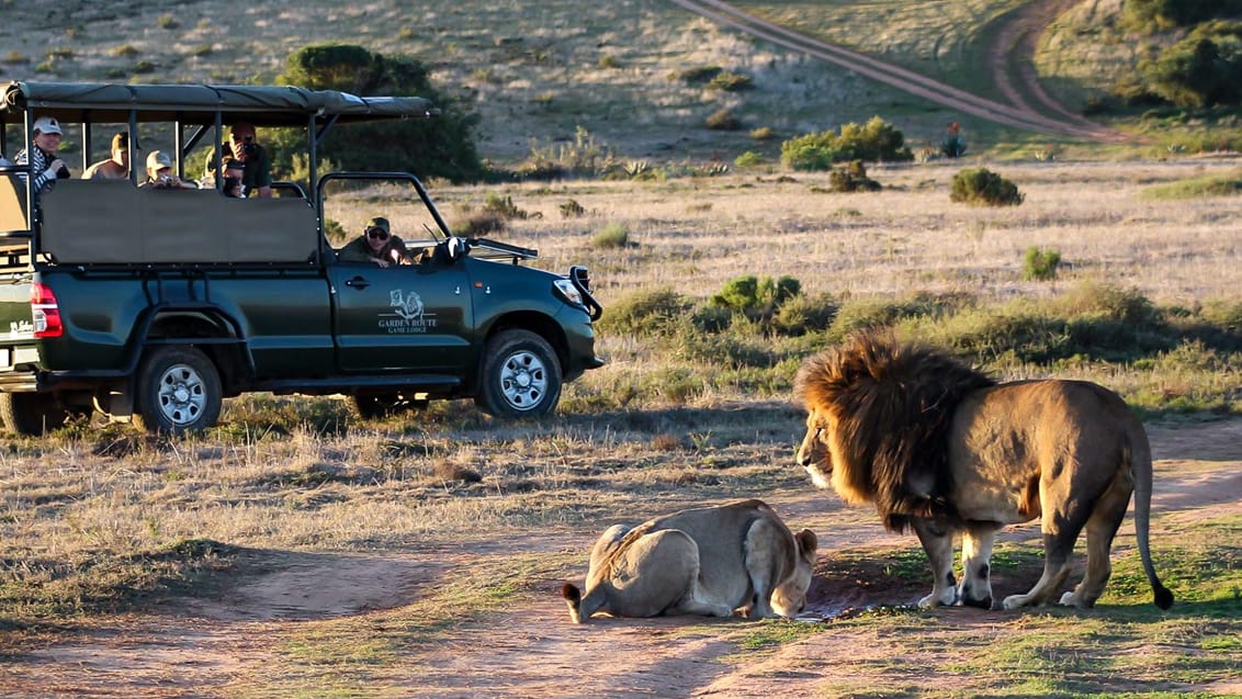 Garden Route Game Lodge i Sydafrika