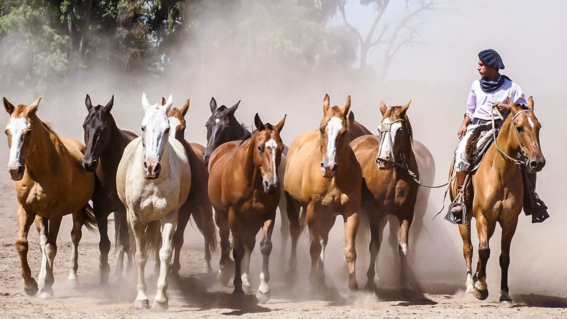 Gaucho i Argentina