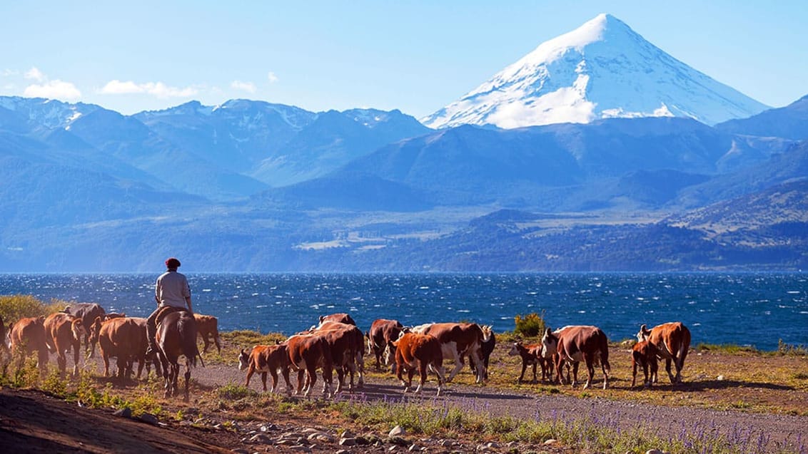 Gaucho i Argentina