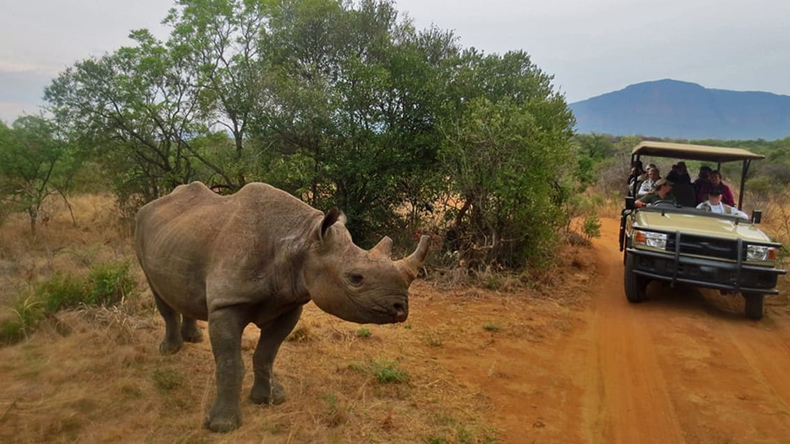 Kruger National Park, Sydafrika