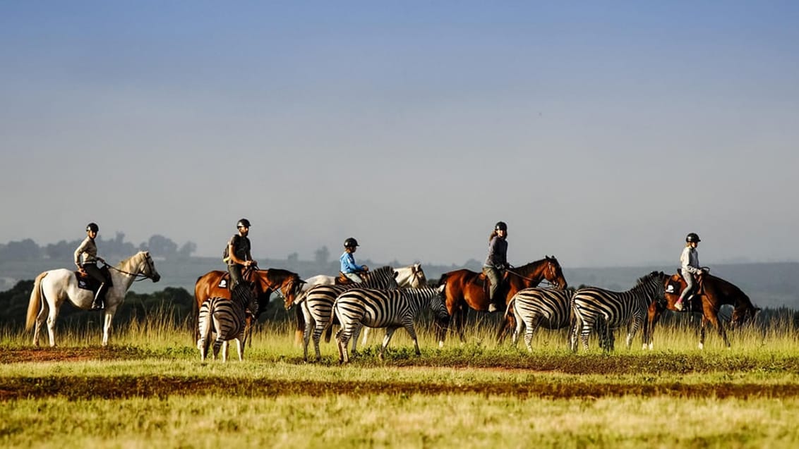 Mlilwane Wildlife Sanctuary, Swaziland, Sydafrika