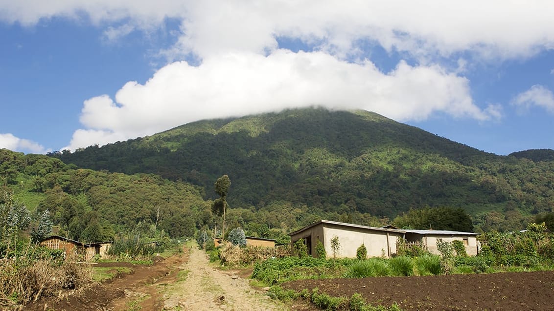 Mount Bisoke i Rwanda