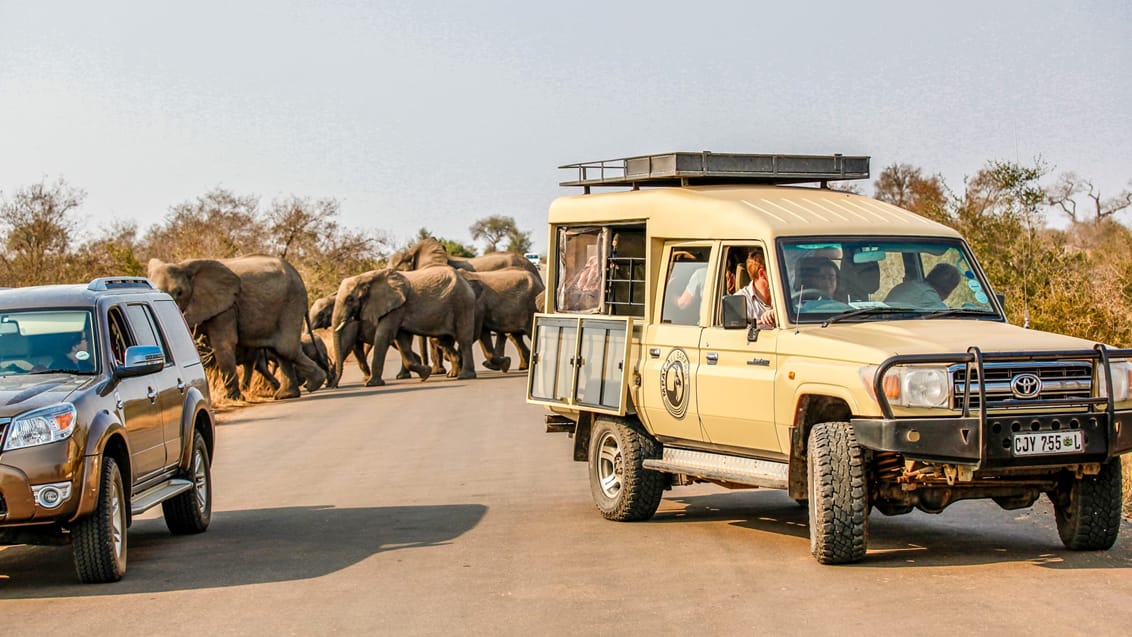 Mpala Safari Lodge, Sydafrika