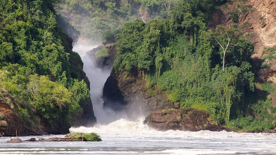 Murchison Falls National Park, Uganda