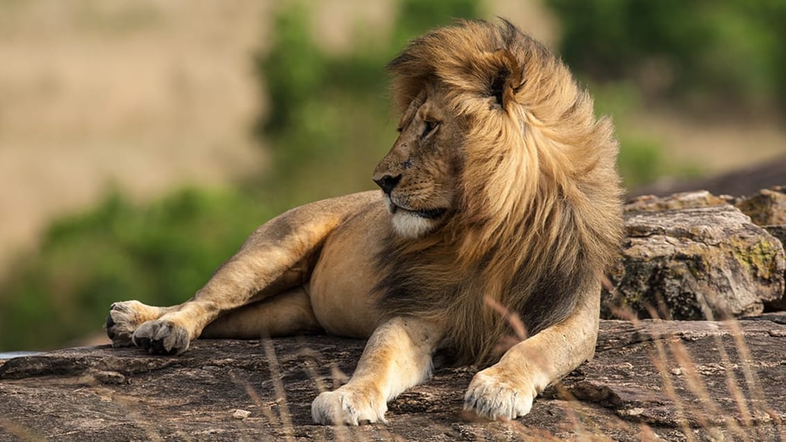 Murchison Falls National Park, Uganda