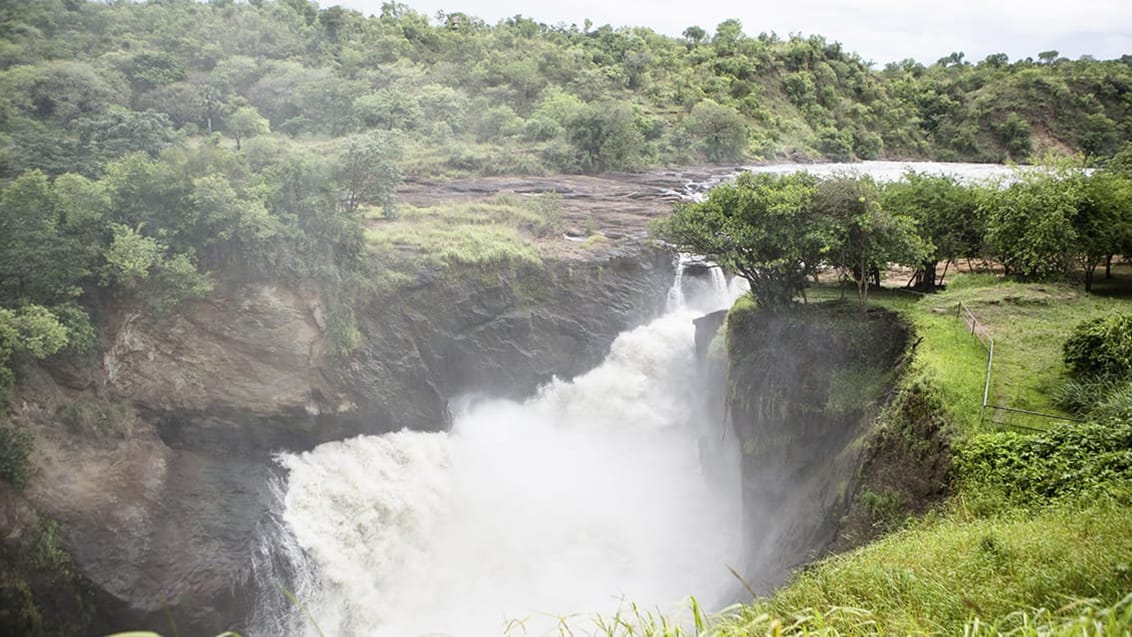 Murchison Falls National Park, Uganda