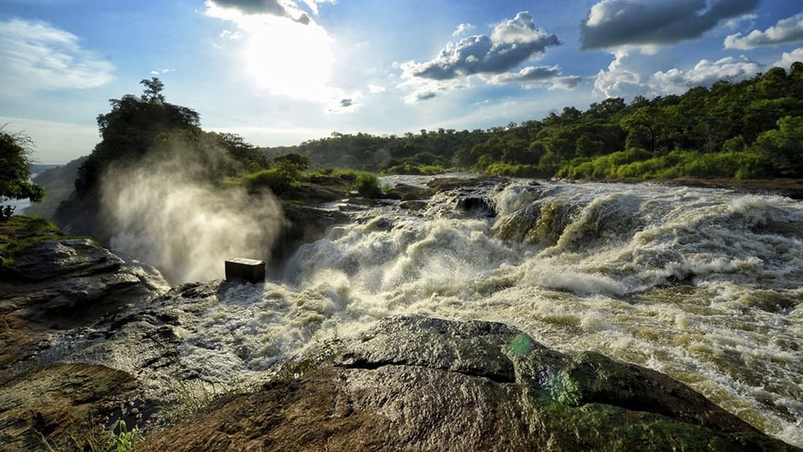 Murchison Falls National Park, Uganda