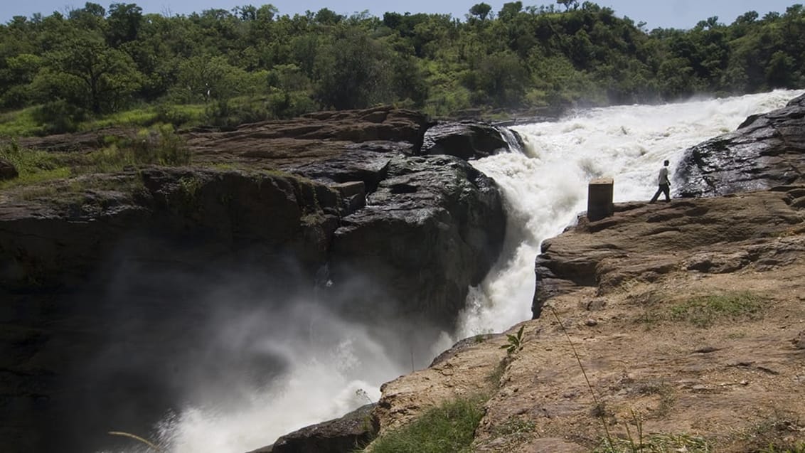 Murchison Falls National Park, Uganda