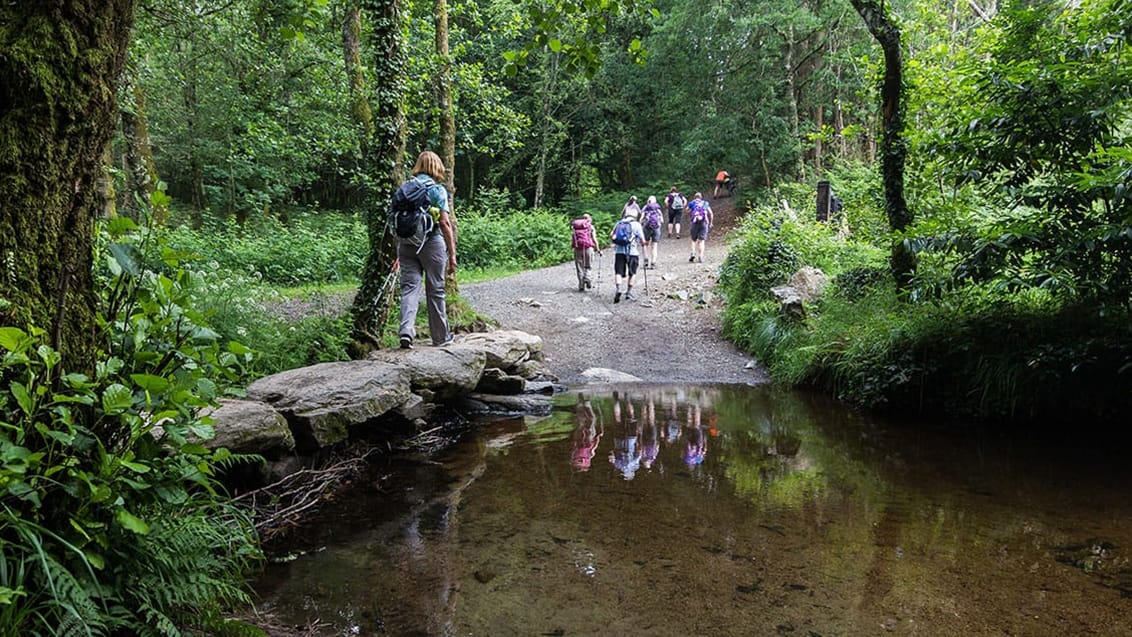 Pilgrimsvandring - Santiago de Compostela