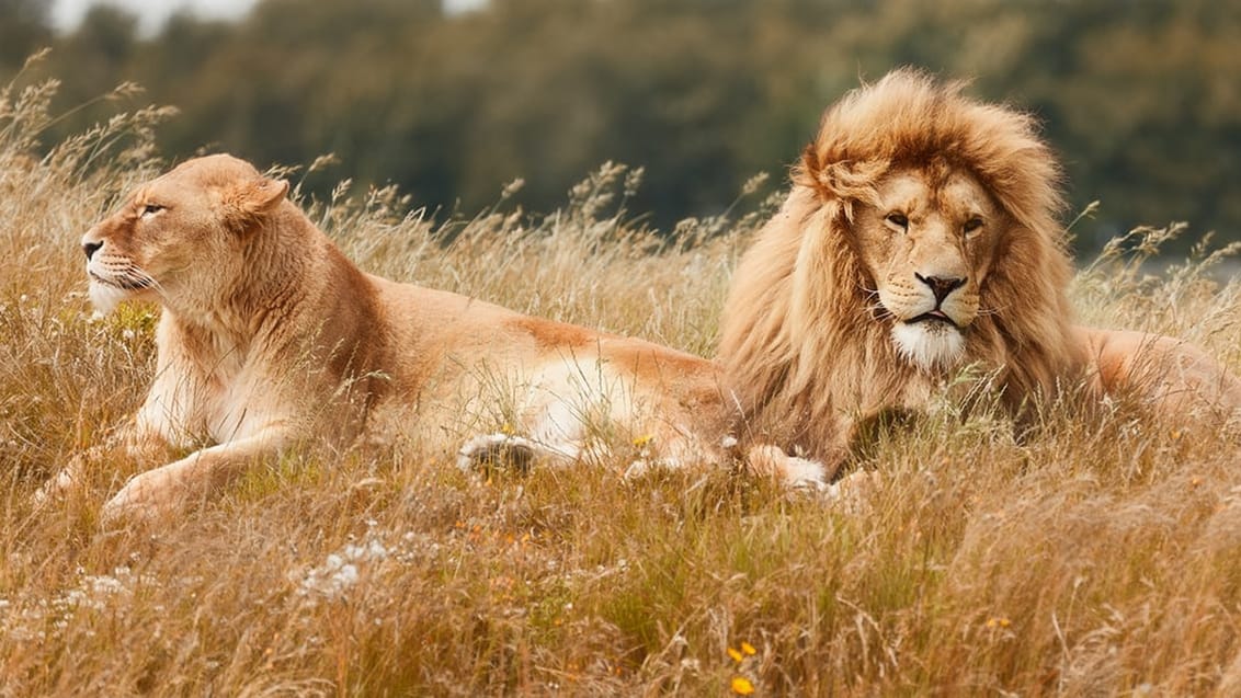 Queen Elizabeth National Park, Uganda