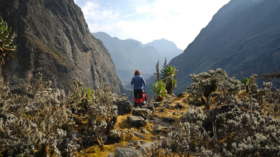 Rwenzori mountains, Uganda