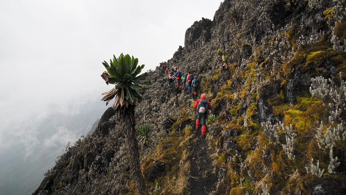 Rwenzori mountains, Uganda