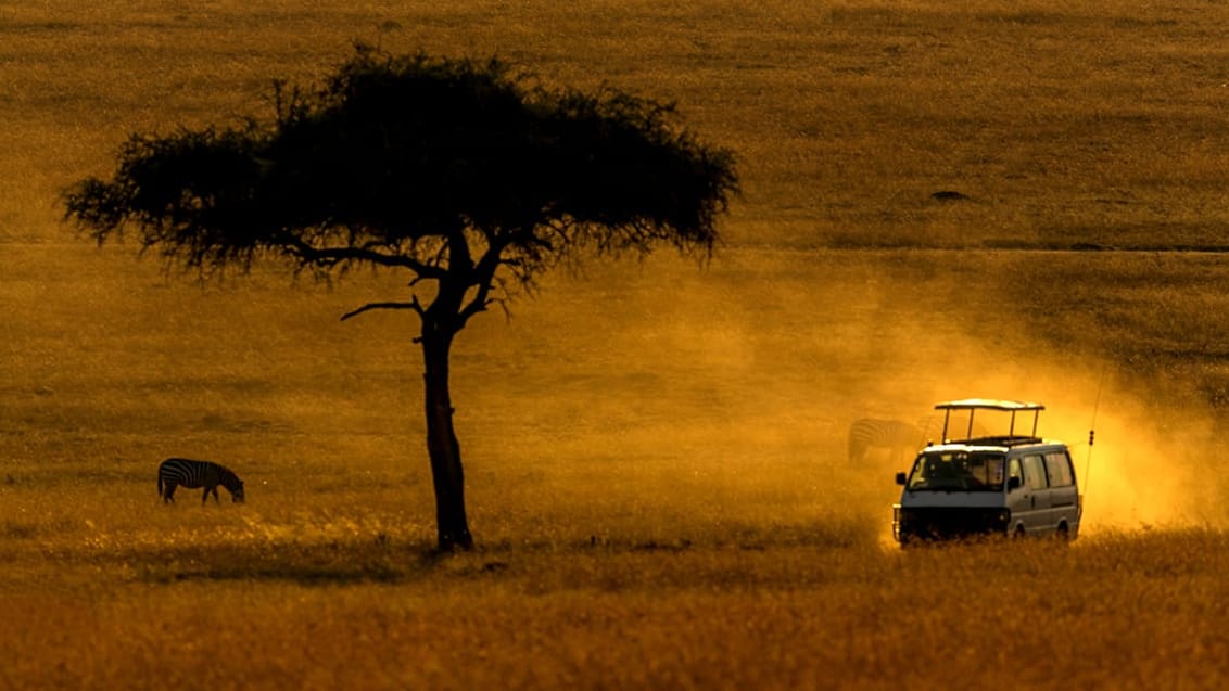 Safari i Murchison Falls National Park, Uganda